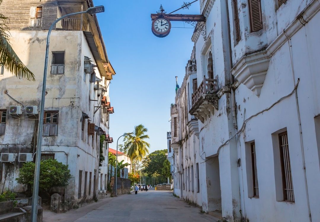 tanzania elite safari (36)