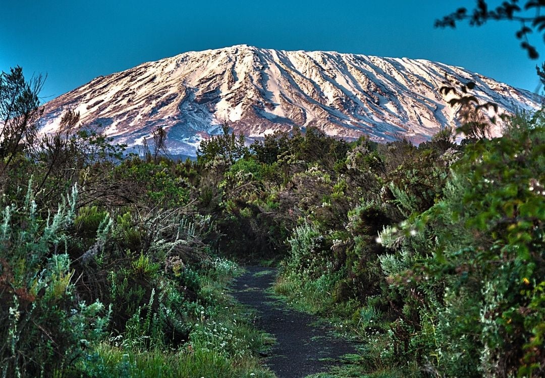 tanzania elite safari (52)