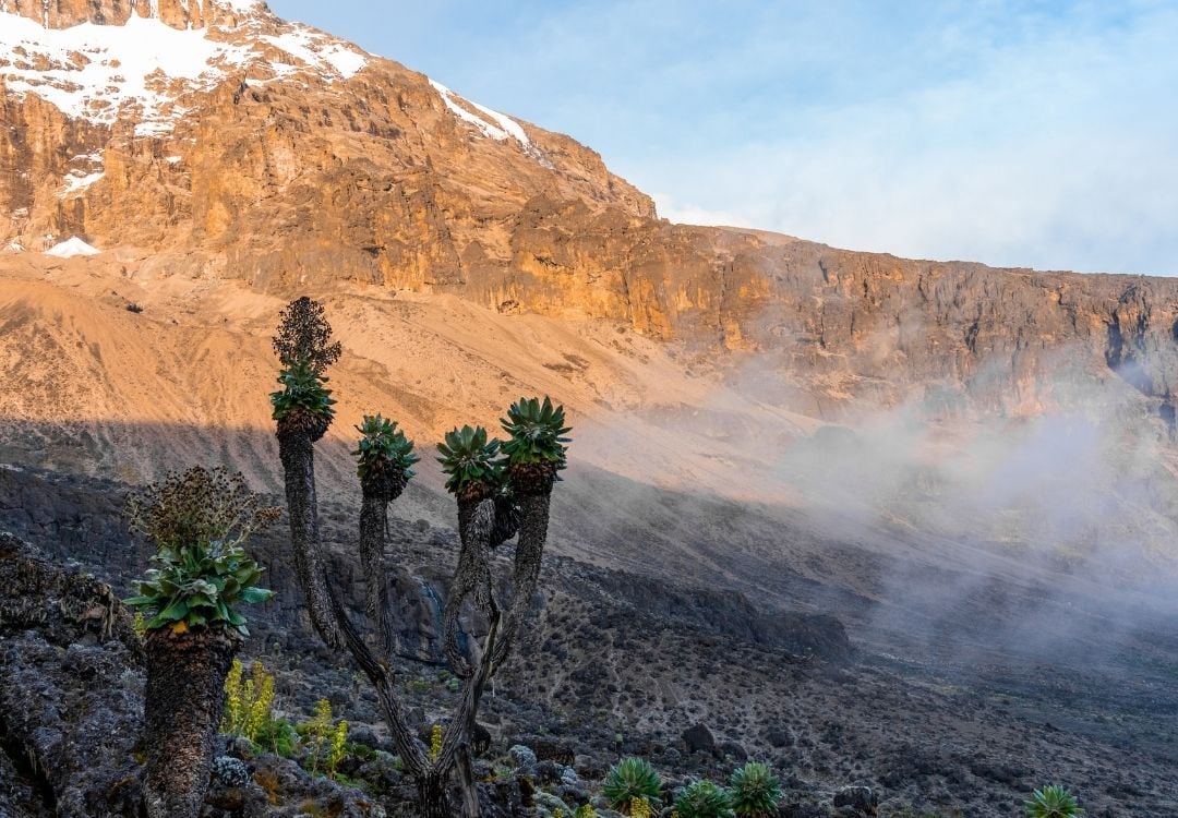 Climb Mount Kilimanjaro with Tanzania Elite Safari