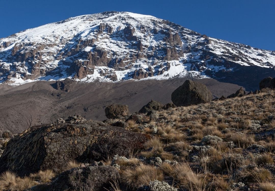 tanzania elite safari (55)