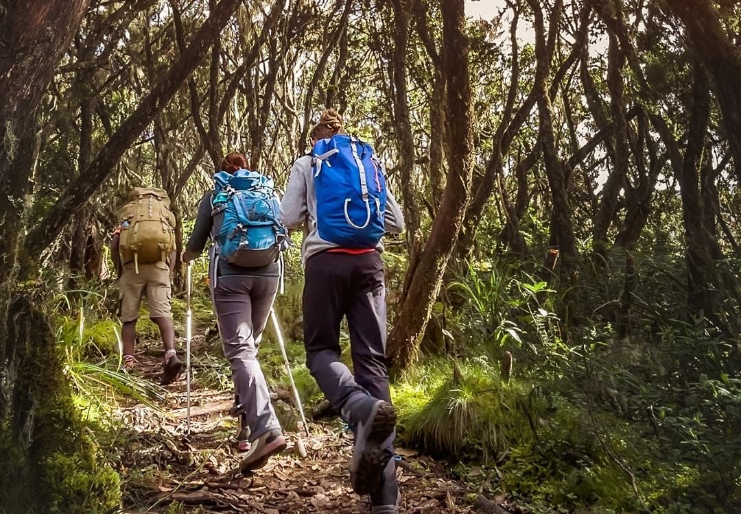 tanzania elite safari (56)