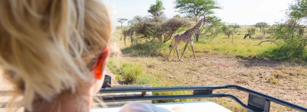 Tanzania Safaris